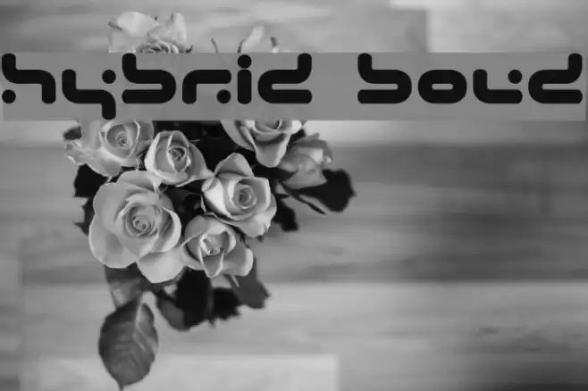 Hybrid Bold Font examples