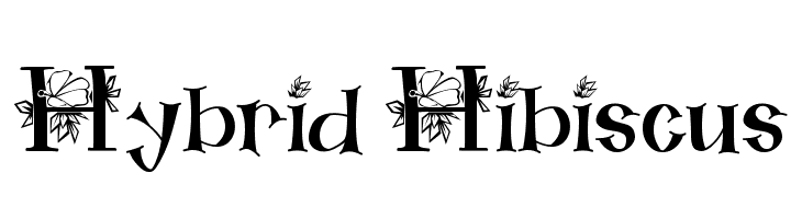 Hybrid Hibiscus Font