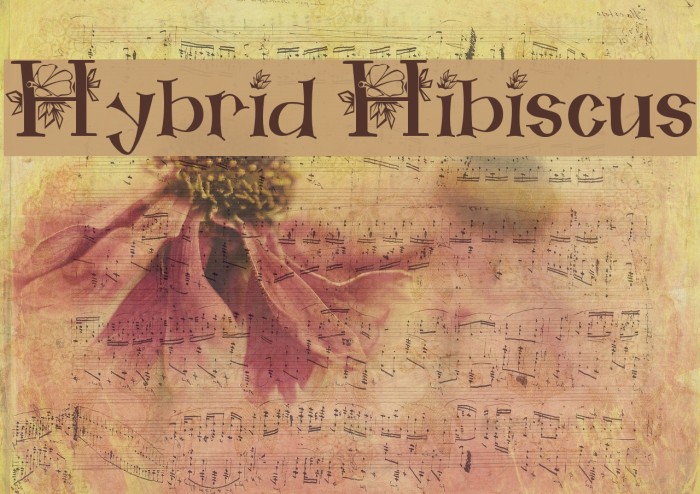 Hybrid Hibiscus Font examples