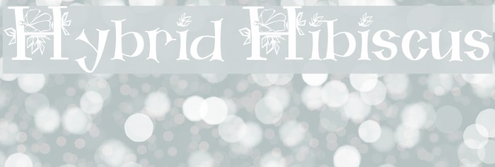 Hybrid Hibiscus Font examples