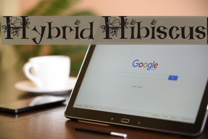 Hybrid Hibiscus Font examples