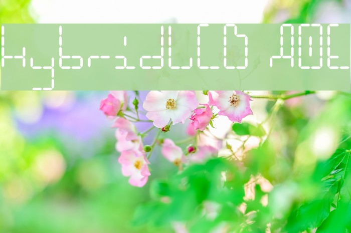 HybridLCD AOE Schriftart examples