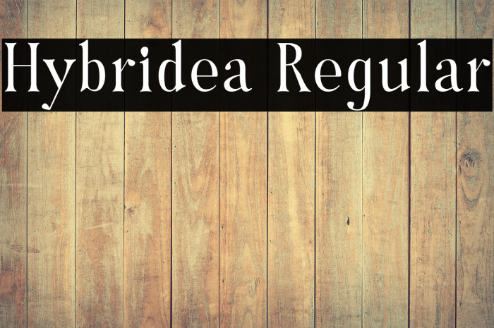 Hybridea Regular Example 1