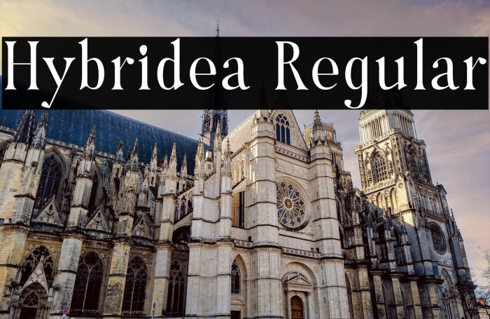 Hybridea Regular Example 2