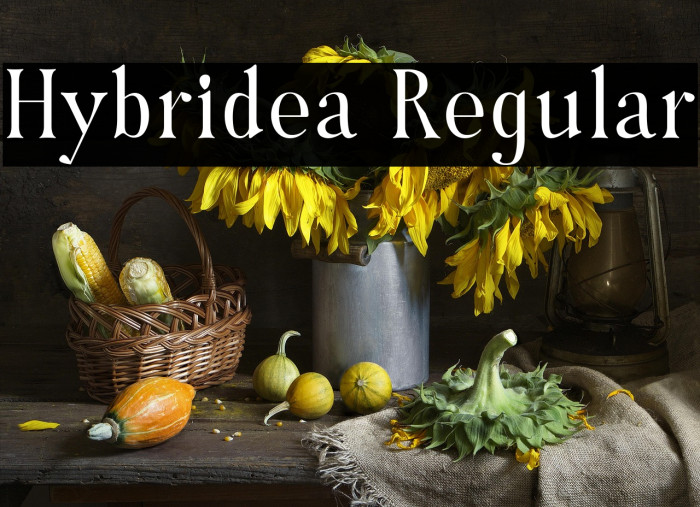 Hybridea Regular Example 3