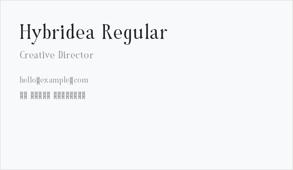 Hybridea Regular Business Card
