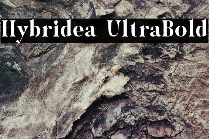 Hybridea UltraBold Example 2