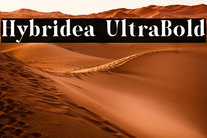 Hybridea UltraBold Example 3