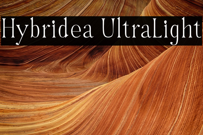 Hybridea UltraLight Example 1