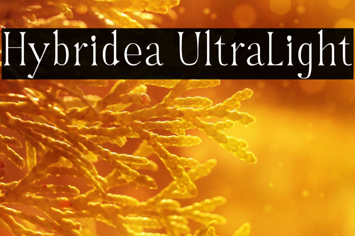 Hybridea UltraLight Example 2