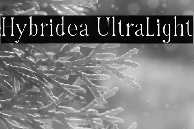 Hybridea UltraLight Font examples
