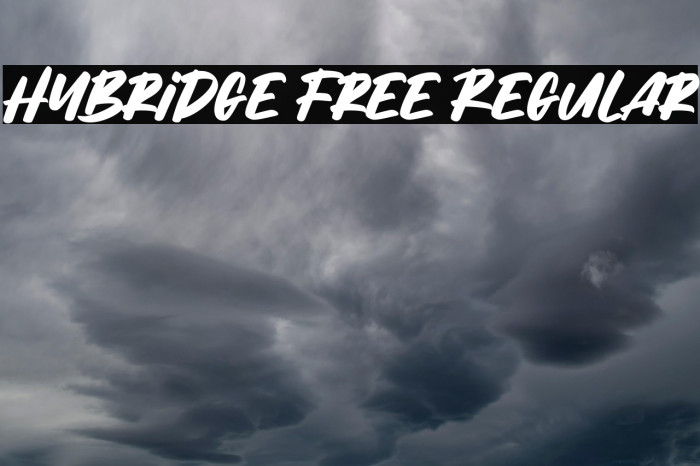 Hybridge Free Regular Example 1