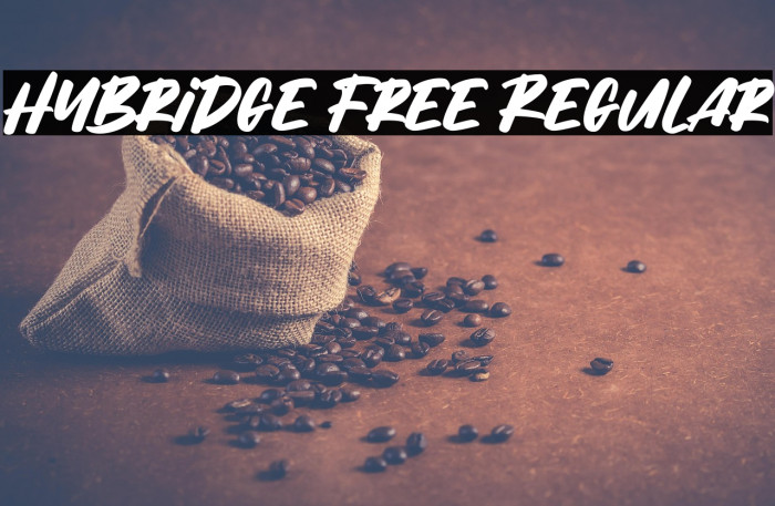 Hybridge Free Regular Example 2