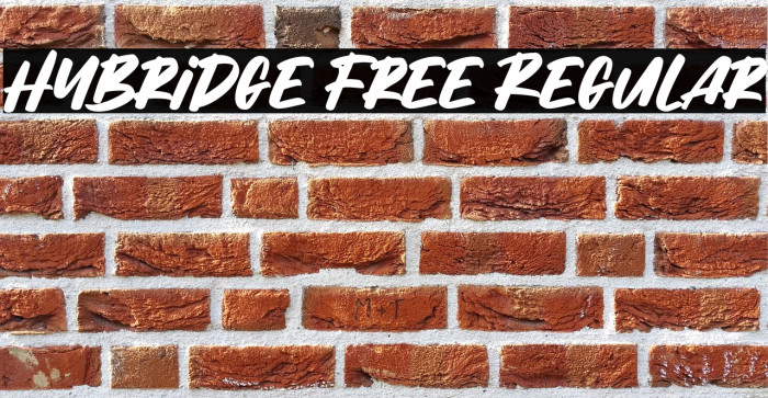 Hybridge Free Regular Example 3