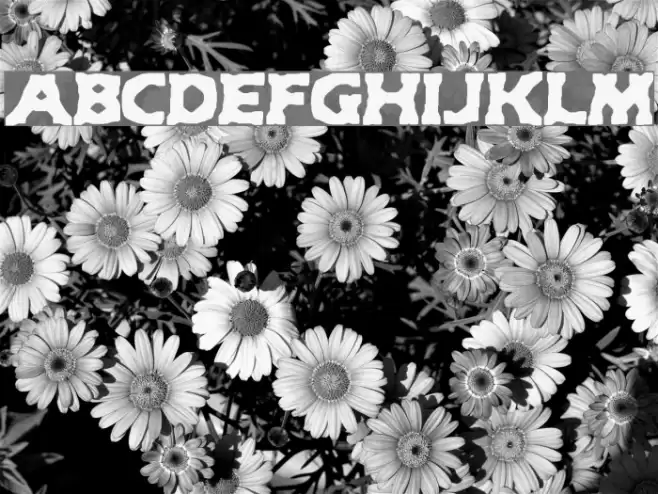 Hyde BRK Font examples