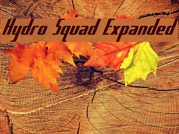 Hydro Squad Expanded Font examples