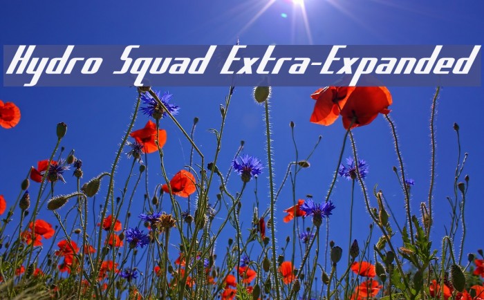 Hydro Squad Extra-Expanded Font examples