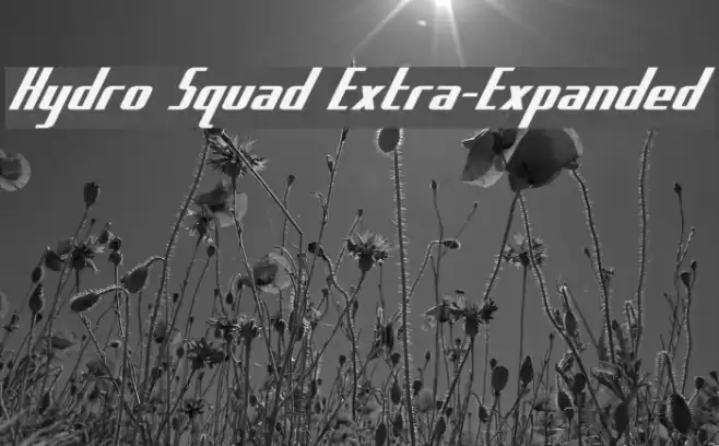 Hydro Squad Extra-Expanded Font examples