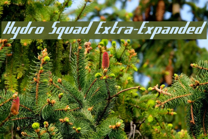 Hydro Squad Extra-Expanded Font examples