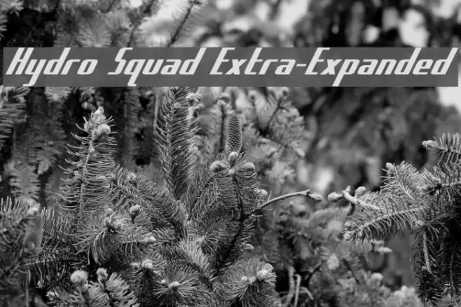 Hydro Squad Extra-Expanded Font examples