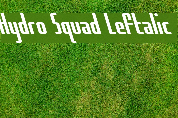 Hydro Squad Leftalic Font examples