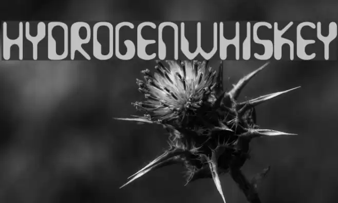 HydrogenWhiskey Font examples
