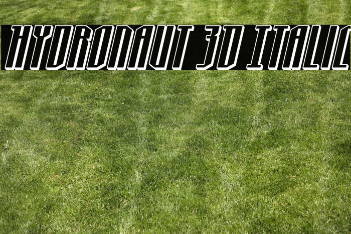 Hydronaut 3D Italic Example 2