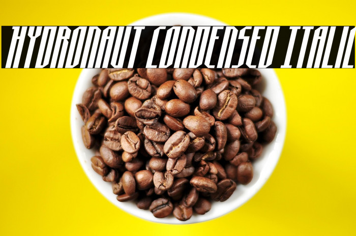 Hydronaut Condensed Italic Example 1