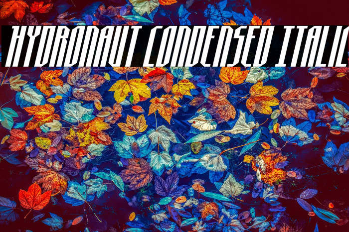 Hydronaut Condensed Italic Example 3