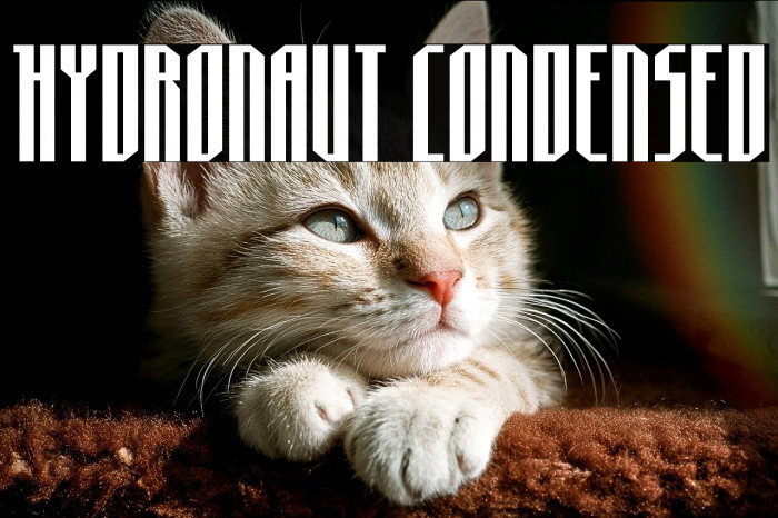 Hydronaut Condensed Example 1