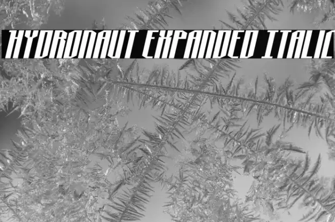 Hydronaut Expanded Italic Font examples