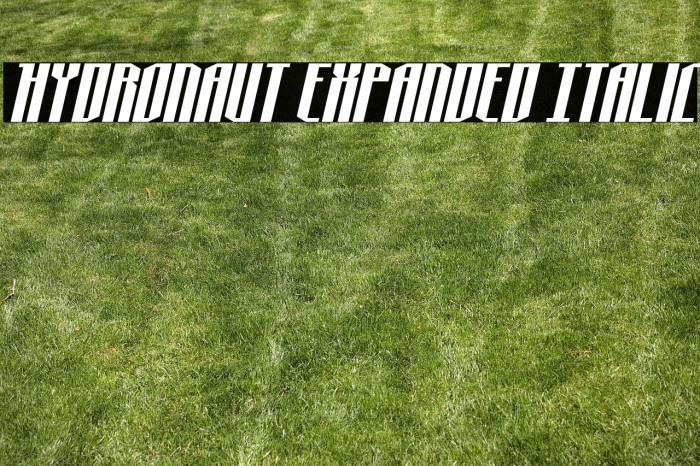Hydronaut Expanded Italic Example 3