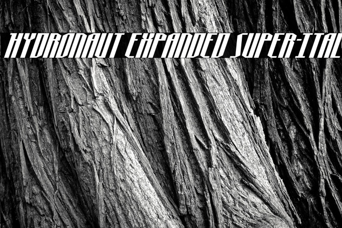 Hydronaut Expanded Super-Ital Example 3