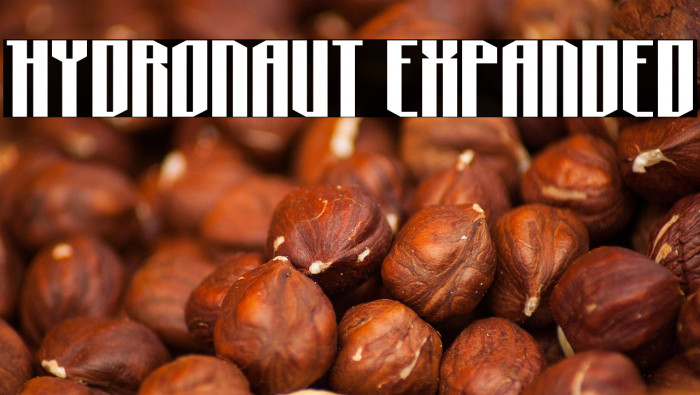 Hydronaut Expanded Example 1