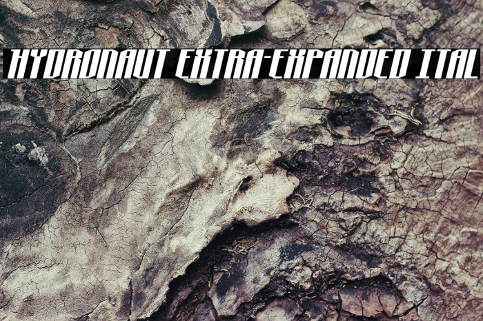 Hydronaut Extra-Expanded Ital Example 2