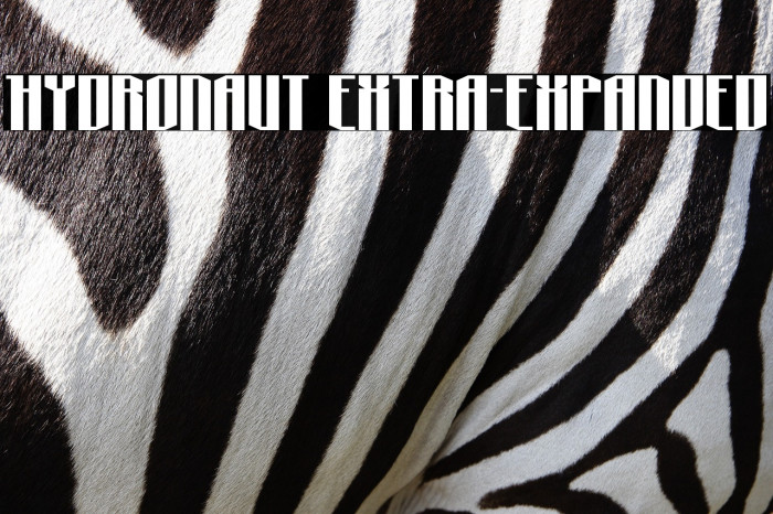 Hydronaut Extra-Expanded Example 3