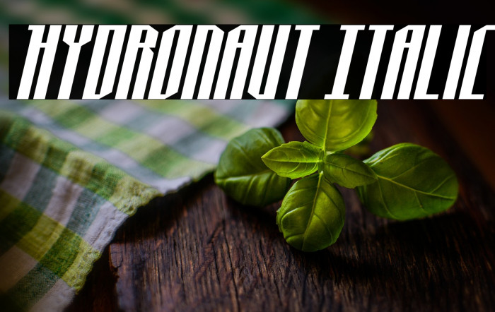 Hydronaut Italic Example 1