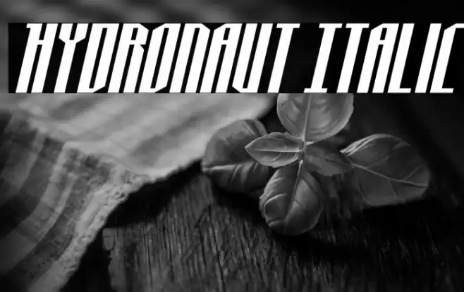 Hydronaut Italic Font examples