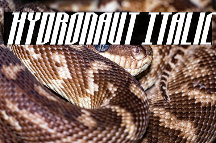 Hydronaut Italic Example 2