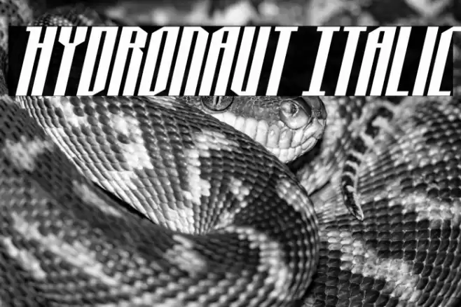 Hydronaut Italic Font examples