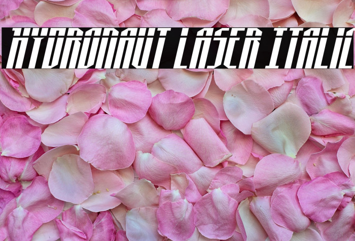 Hydronaut Laser Italic Example 3