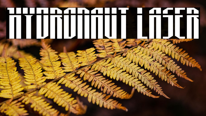 Hydronaut Laser Example 2