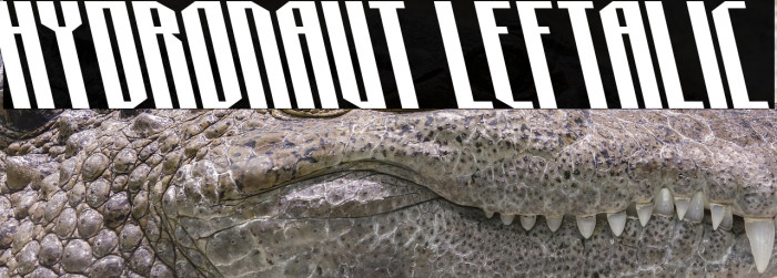 Hydronaut Leftalic Example 2