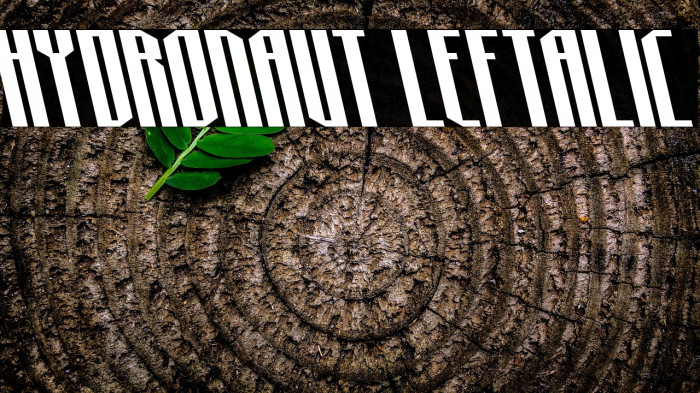 Hydronaut Leftalic Example 3