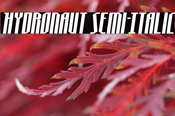 Hydronaut Semi-Italic Example 1