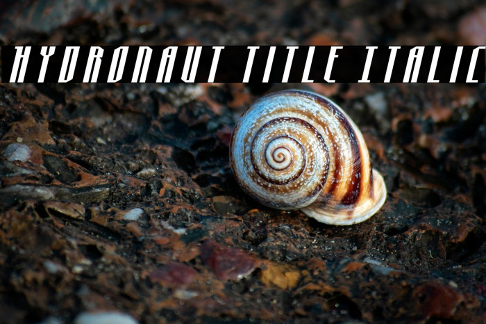 Hydronaut Title Italic Example 1