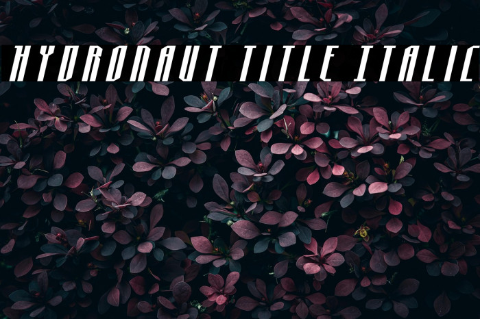 Hydronaut Title Italic Example 2