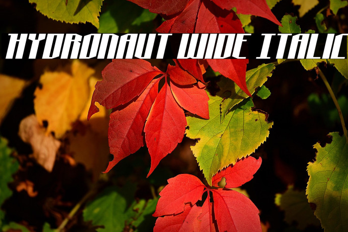 Hydronaut Wide Italic Example 2