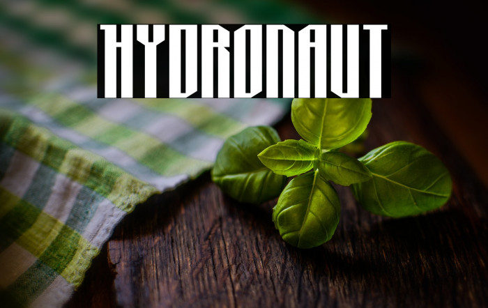Hydronaut Example 2