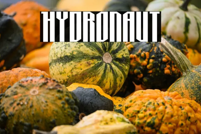 Hydronaut Example 3